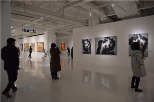 布拉格中歐國際藝術雙年展中國作品展在山水美術館開幕 共繪文化藝術交流新篇章